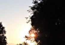 7 Best places to Visit in Dalhousie