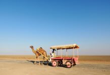 Solo travel exploring 12 best places around Rann of Kutch, Gujarat!